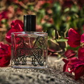 Und noch ein Gruß aus dem letzten Urlaub. Habt vielen Dank für eure Kommentare! (von DrHildegard)