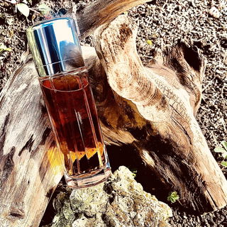 Escape (Eau de Parfum) - Calvin Klein