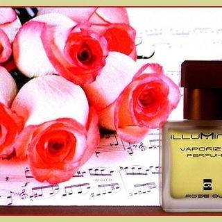 Rose Oud - Illuminum