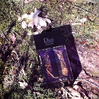 Dior Homme Intense (2011) von Dior