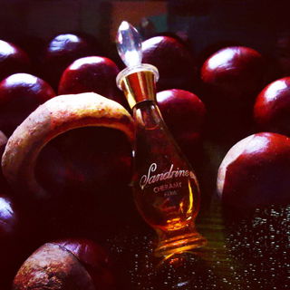 Sandrine (Parfum) - Cheramy