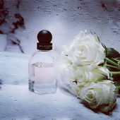 Die Natur sehnt sich nach Regen (von Gandix)