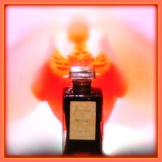 Evocation d'Orchidée - Pierre Dune