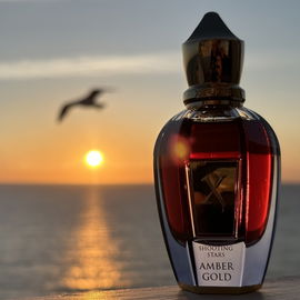Amber Gold - Xerjoff