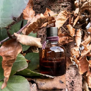 Bottega Veneta Eau de Velours von Bottega Veneta