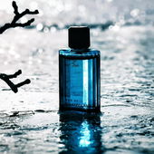 Wintercooler Duft, etwas zum Abkühlen:). (by Zora)