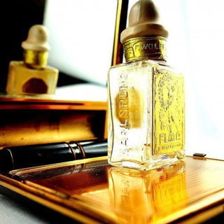 Elata   Wolff & Sohn 1920