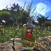 Lady Sunshine and Mister Moon (by Gandix)