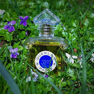 Vielen Dank für eure lieben Kommentare 💚