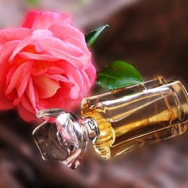 ****** d'Oscar (Eau de Parfum) - Oscar de la Renta