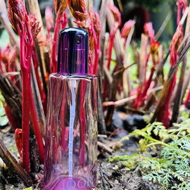 Nuit d'été (Eau de Toilette) - Joop!