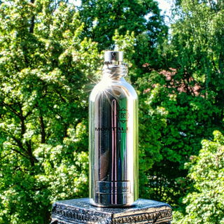 Fougères Marines - Montale