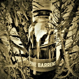 Long Island Sepia