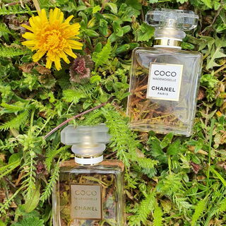Coco Mademoiselle (Eau de Parfum) von Chanel