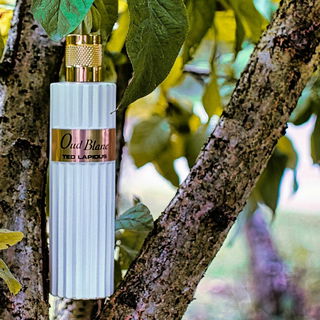 Oud Blanc - Ted Lapidus