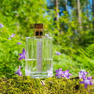 Caligna - L'Artisan Parfumeur