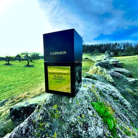 Black Calamus - Carner
