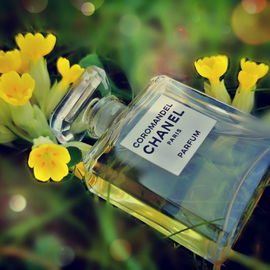 Coromandel (Parfum) - Chanel