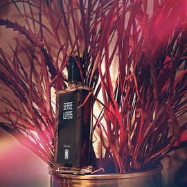 Warmth of Christmas spirit inside a bottle!