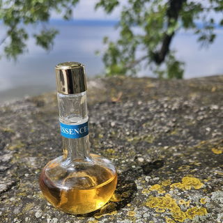 Scents of the Bible - Essence of Ein Gedi von Ein Gedi