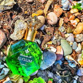 Garten (von ChatonNoir)