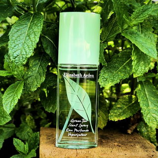 Green Tea (Eau Parfumée) von Elizabeth Arden