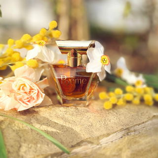 Poême (Eau de Parfum) - Lancôme