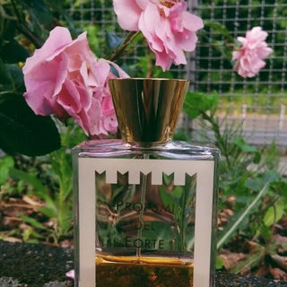 Versilia Aurum - Profumi del Forte