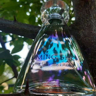 Ming Shu Fleur de l'Aube von Yves Rocher