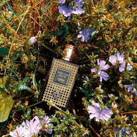 Ylang Ylang Nosy Be (Eau de Parfum) - Perris Monte Carlo