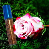 schön moosig hier (by NuiWhakakore)