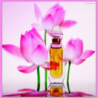 Ysatis (Parfum) - Givenchy