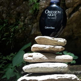 Obsession Night for Men (Eau de Toilette) - Calvin Klein