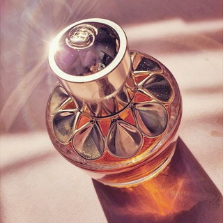 Girl of Now Shine - Elie Saab