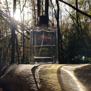 Terre d'Hermès (Eau de Toilette) by Hermès