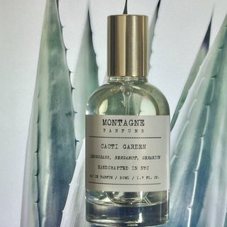 Cacti Garden von Montagne Parfums