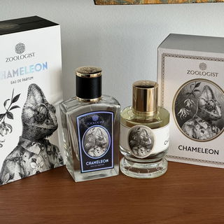 Chameleon - Zoologist