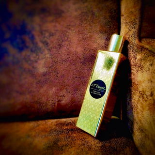 Vanilla & Leather - S.T. Dupont