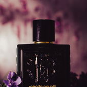 For this Fragrance Friday, another cheap but great gem. This time the Uomo by Cavalli. Ever since I got into fragrances, I have been seeking masculine frags with strong violet notes. This one hits very close to my ideal scent profile. Also, it was sniffed together by Christophe Raynaud, who's work usually like a lot; this as well.   Went for the theme 