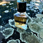 Im Nordmeer (by Camey5000)