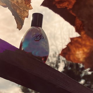 Lace Noir - Agent Provocateur