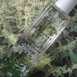 Nettle & Wild Achillea - Jo Malone