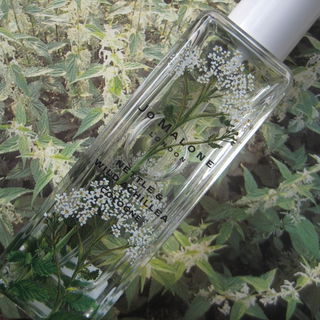 Nettle & Wild Achillea - Jo Malone