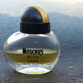 (〃‿〃✿) (von Seejungfrau)