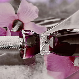 Manifesto L'Elixir von Yves Saint Laurent