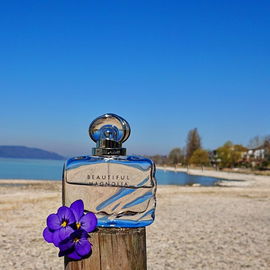 Soviel Strand am See gibt es nur bei extremem Niedrigwasser 💦 Danke Euch allen 🩵
