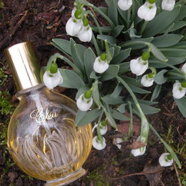 Cléa (Eau de Toilette) - Yves Rocher