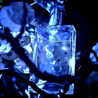 Tonka - Réminiscence