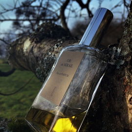 Infusion d'Iris (Eau de Parfum) (2015) - Prada