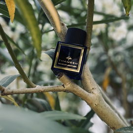Regent Leather - Thameen